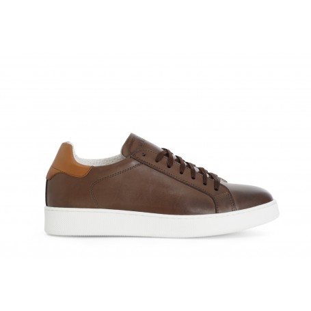 Cafe Noir SNEAKERS IN PELLE - C1XN1022